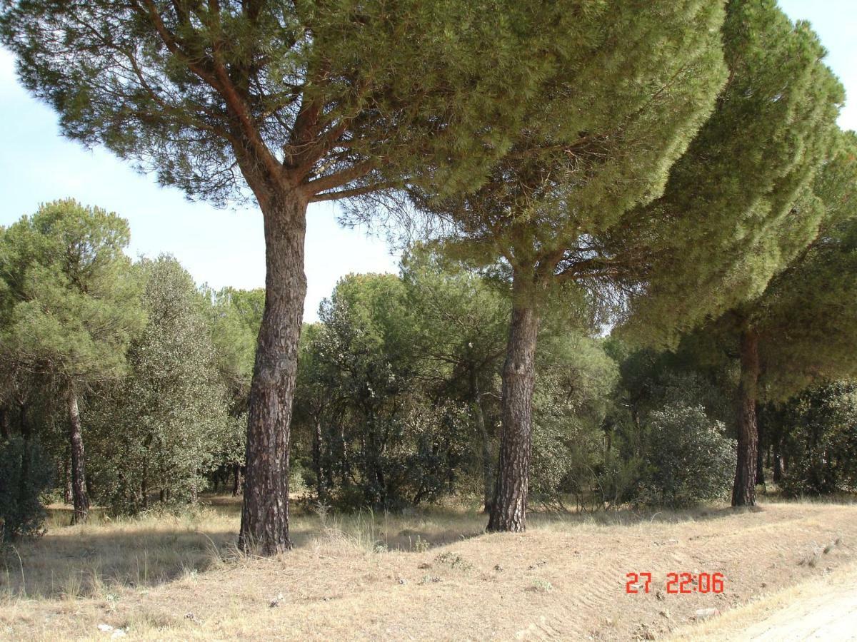 Villa Casa Ana à Villamarciel Extérieur photo